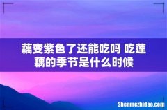 藕变紫色了还能吃吗 吃莲藕的季节是什么时候