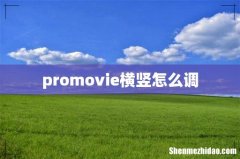promovie横竖怎么调
