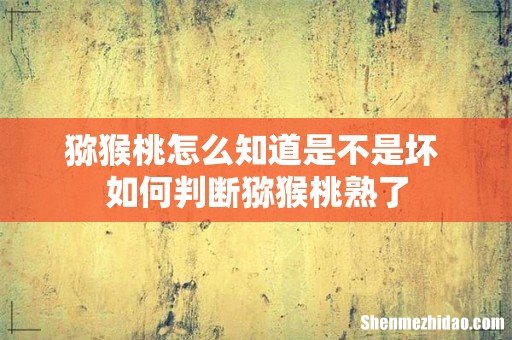 猕猴桃怎么知道是不是坏 如何判断猕猴桃熟了