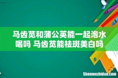 马齿苋和蒲公英能一起泡水喝吗 马齿苋能祛斑美白吗