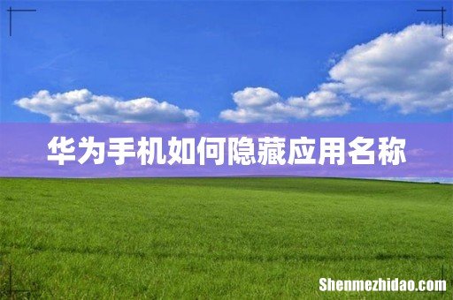 华为手机如何隐藏应用名称