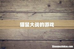 猫鼠大战的游戏