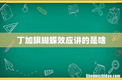 丁加旗蝴蝶效应讲的是啥