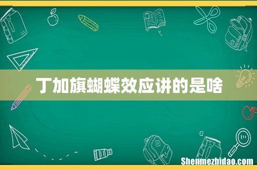 丁加旗蝴蝶效应讲的是啥
