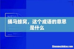 捅马蜂窝，这个成语的意思是什么