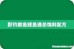 野钓鲫鱼鲤鱼通杀饵料配方