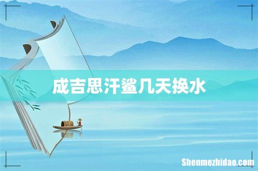 成吉思汗鲨几天换水