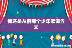 我还是从前那个少年歌词含义