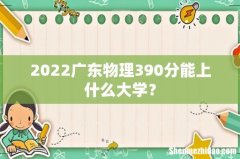2022广东物理390分能上什么大学？