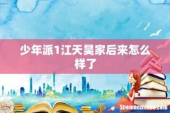 少年派1江天昊家后来怎么样了