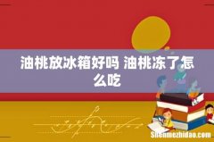 油桃放冰箱好吗 油桃冻了怎么吃