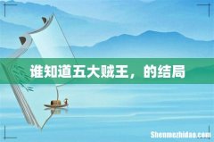 谁知道五大贼王，的结局