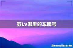 苏Lv哪里的车牌号