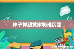林子祥跟黄家驹谁厉害
