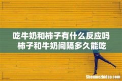 吃牛奶和柿子有什么反应吗 柿子和牛奶间隔多久能吃