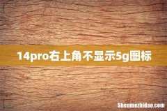 14pro右上角不显示5g图标