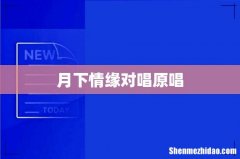月下情缘对唱原唱