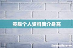 黄磊个人资料简介身高