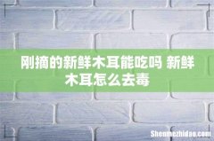 刚摘的新鲜木耳能吃吗 新鲜木耳怎么去毒