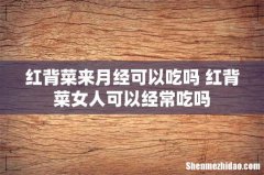 红背菜来月经可以吃吗 红背菜女人可以经常吃吗