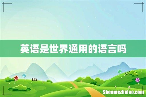 英语是世界通用的语言吗