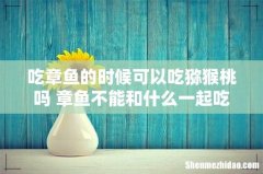 吃章鱼的时候可以吃猕猴桃吗 章鱼不能和什么一起吃