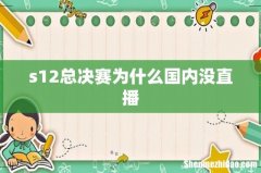 s12总决赛为什么国内没直播