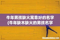 牛年缺木缺火的男孩名字大全，男孩缺木缺火，起什么名字好？ 牛年男孩缺火寓意好的名字