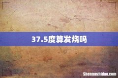 37.5度算发烧吗