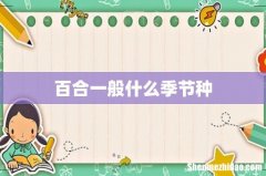 百合一般什么季节种