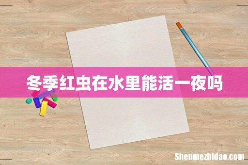 冬季红虫在水里能活一夜吗