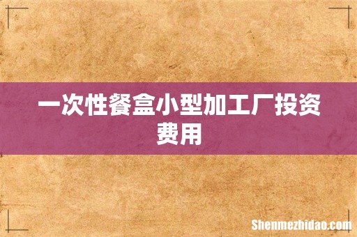 一次性餐盒小型加工厂投资费用