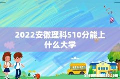 2022安徽理科510分能上什么大学