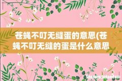 苍蝇不叮无缝的蛋是什么意思 苍蝇不叮无缝的蛋表示什么意思 苍蝇不叮无缝蛋的意思
