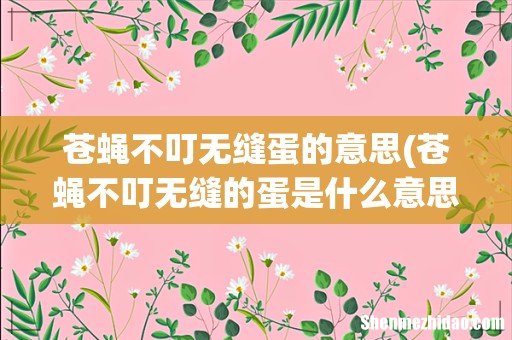苍蝇不叮无缝的蛋是什么意思 苍蝇不叮无缝的蛋表示什么意思 苍蝇不叮无缝蛋的意思