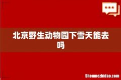 北京野生动物园下雪天能去吗