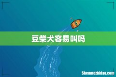 豆柴犬容易叫吗