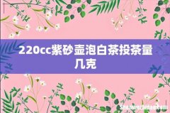 220cc紫砂壶泡白茶投茶量几克