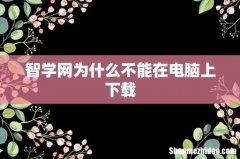 智学网为什么不能在电脑上下载