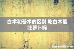 白术和苍术的区别 吃白术能吃萝卜吗