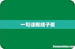 一句话概括子夜
