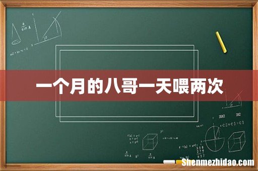 一个月的八哥一天喂两次