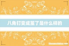 八角钉变成茧了是什么样的