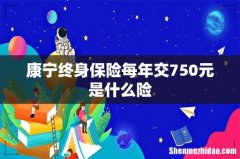 康宁终身保险每年交750元是什么险
