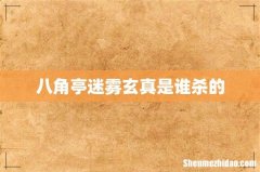 八角亭迷雾玄真是谁杀的
