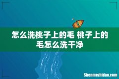 怎么洗桃子上的毛 桃子上的毛怎么洗干净