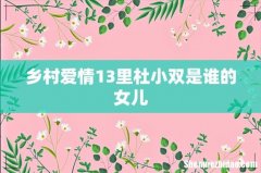 乡村爱情13里杜小双是谁的女儿