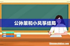 公孙策和小风筝结局