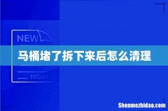 马桶堵了拆下来后怎么清理