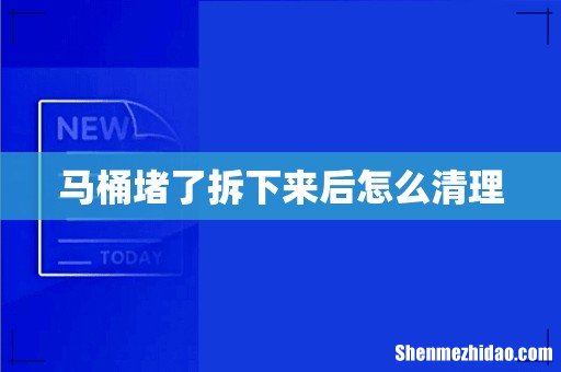 马桶堵了拆下来后怎么清理